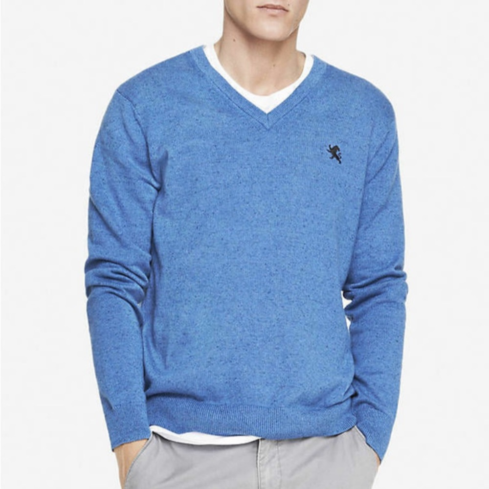 Men's Express Blue V-Neck Sweater